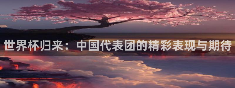 2026世界杯德国队阵容：世界杯归来：中国代表团的精彩表现与期待