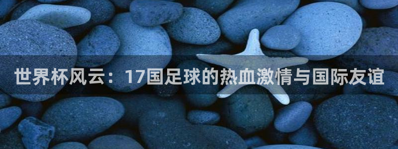 足球世界杯时间：世界杯风云：17国足球的热血激情与国际友谊