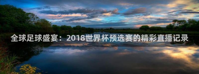 世界杯直播网站：全球足球盛宴：2018世界杯预选赛的精彩直播记录