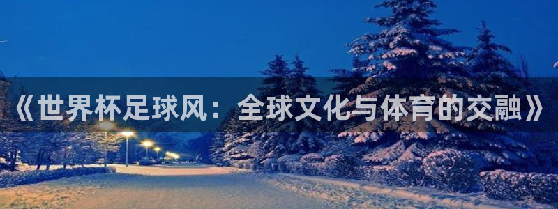 世界杯预选赛直播：《世界杯足球风：全球文化与体育的交融》