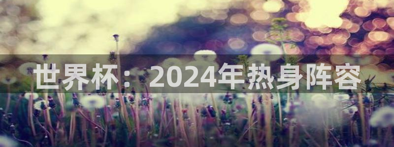 世界杯 中国：世界杯：2024年热身阵容