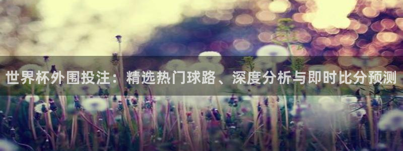 世界杯欧洲预选赛：世界杯外围投注：精选热门球路、深度分析与即时比分预测