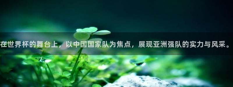 亚洲杯足球：在世界杯的舞台上，以中国国家队为焦点，展现亚洲强队的实力与风采。