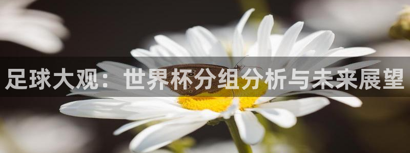 世界杯预选赛欧洲：足球大观：世界杯分组分析与未来展望