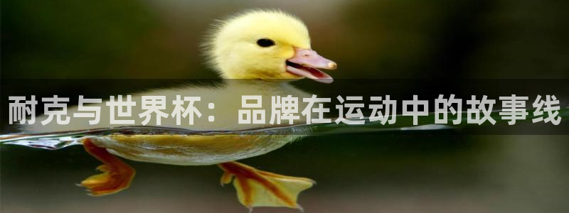 世界杯比赛：耐克与世界杯：品牌在运动中的故事线