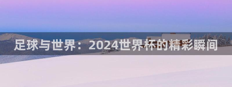 世界杯决赛直播：足球与世界：2024世界杯的精彩瞬间