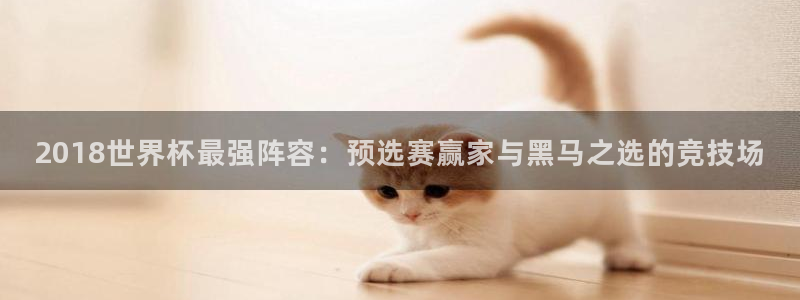 2026世界杯买球：2018世界杯最强阵容：预选赛赢家与黑马之选的竞技场