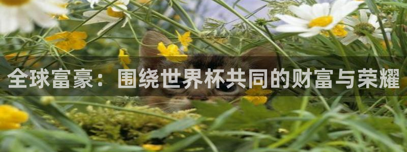 足球世界杯时间：全球富豪：围绕世界杯共同的财富与荣耀