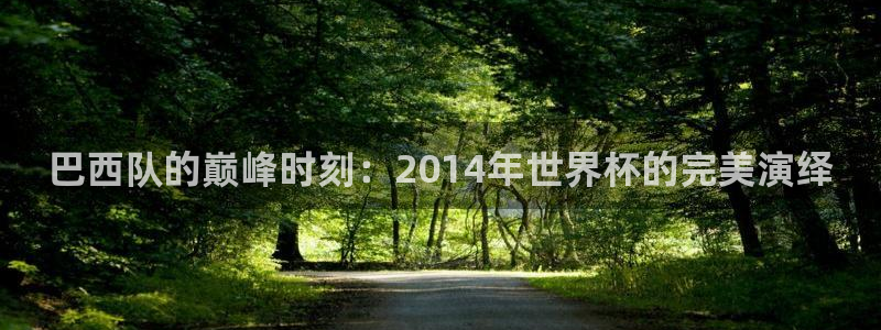 世界杯时间：巴西队的巅峰时刻：2014年世界杯的完美演绎